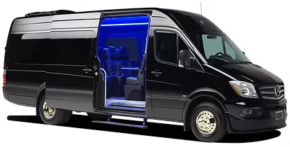 VAN EXECUTIVA 20