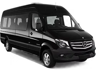 VAN EXECUTIVA 15